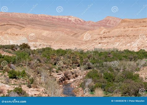 Oasis in the Desert of Morocco Stock Photo - Image of rain, vavations ...