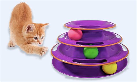 The 8 Best Cat Toys To Keep Them Busy