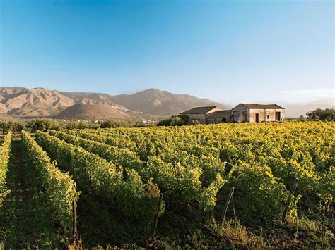 Sicilian Wine Tour Itinerary: Mount Etna | Wine tour, Day trips from rome, Sicily