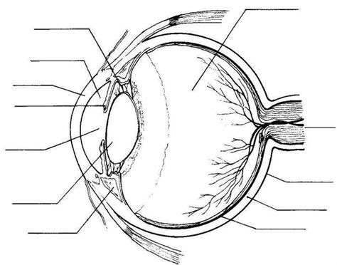 Eye Diagram Labeled