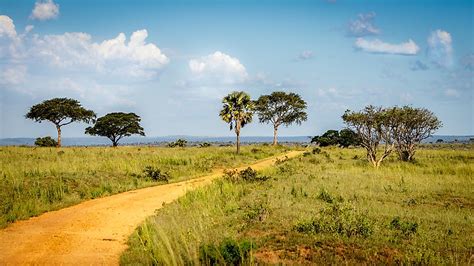 What Type Of Climate Does Uganda Have? - WorldAtlas