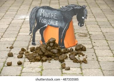 3,409 Horse Manure Images, Stock Photos & Vectors | Shutterstock