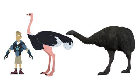 Giant Moa Size Comparison by Bvega41 on DeviantArt