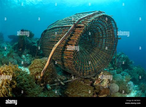 Alor archipelago fishing hi-res stock photography and images - Alamy