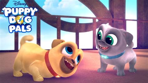 ᴴᴰ Puppy Dog Pals Full Episodes Disney junior ♥ Puppy Dog Pals Episode 6 ♥ Part 1 - YouTube