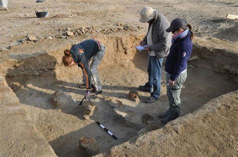 Red Sea port studied by Polish archaeologists