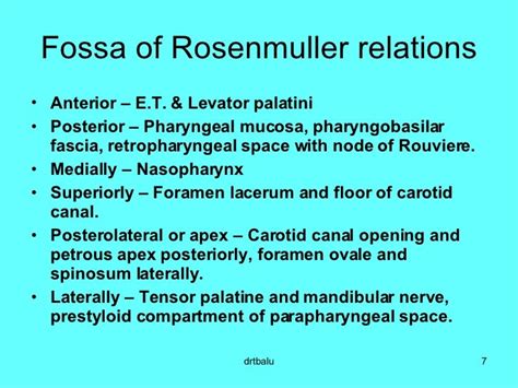 Fossa Of Rosenmuller, Nasopharynx/Nasal cavity at Oregon Health Sciences ... - The human ...