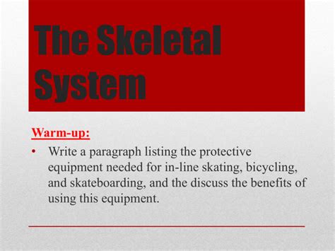 The Skeletal System