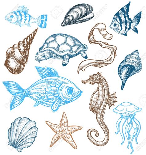 Sea Fish Drawing at GetDrawings | Free download