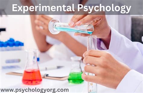 The 11 Most Influential Psychological Experiments