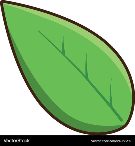 Nature leaf cartoon Royalty Free Vector Image - VectorStock