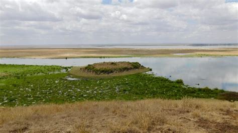 Observation Hill (Amboseli National Park) - 2020 All You Need to Know BEFORE You Go (with Photos ...