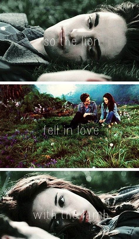 twilight