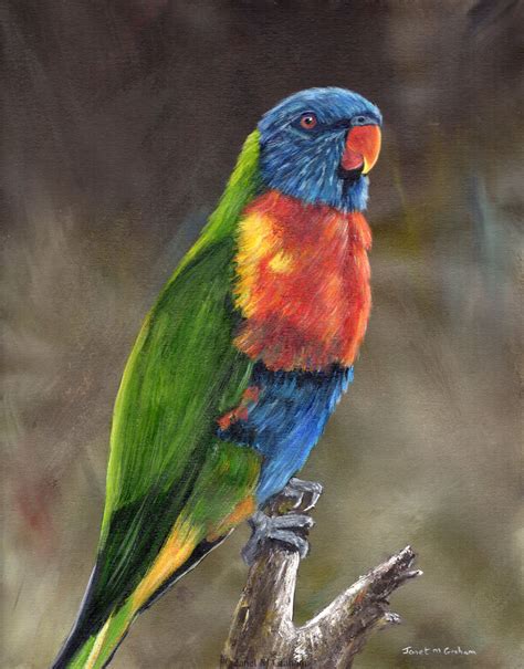 Bird Art / Rainbow Lorikeet / Australian Bird Painting / Original hand painted wildlife acrylic ...