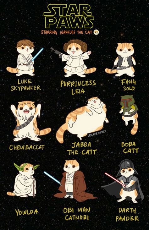 source: imgur.com Star Wars Meme, Star Wars Film, Star Wars Art, Star ...