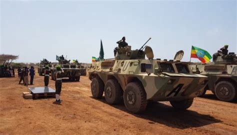 Ethiopia: Military operations reported in Tigray - Arab Observer ...