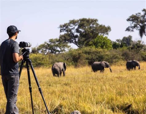 Photography | Experiences | Wild Safari Guide