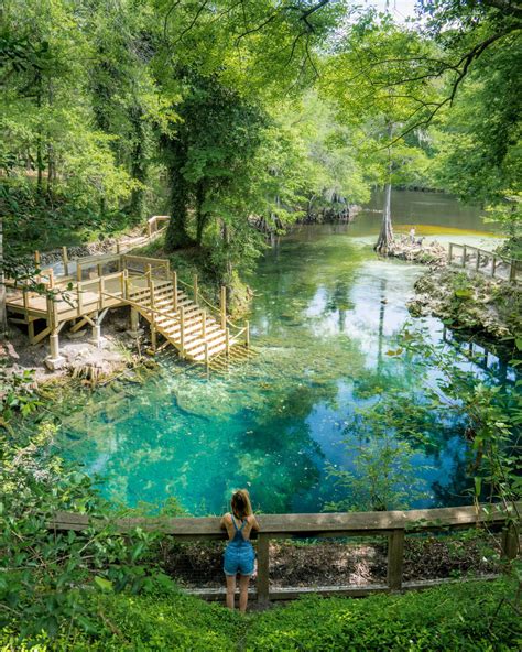 Madison Blue Spring State Park - Visit Natural North Florida