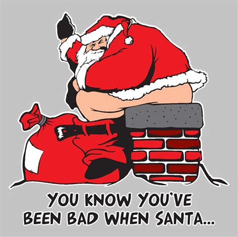 you know you have been bad when SANTA...!!!! | Bad santa, Funny cartoons jokes, Funny tshirts