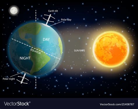 Day and night cycle diagram vector image on VectorStock | Geographie ...