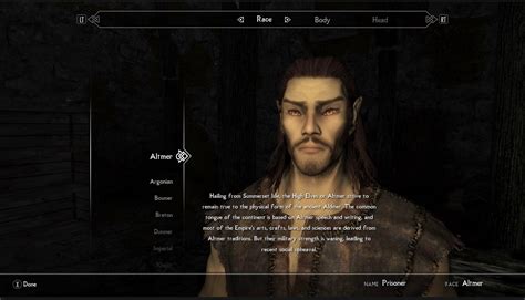 Tried to make a handsome Altmer, how did I do? : r/skyrim