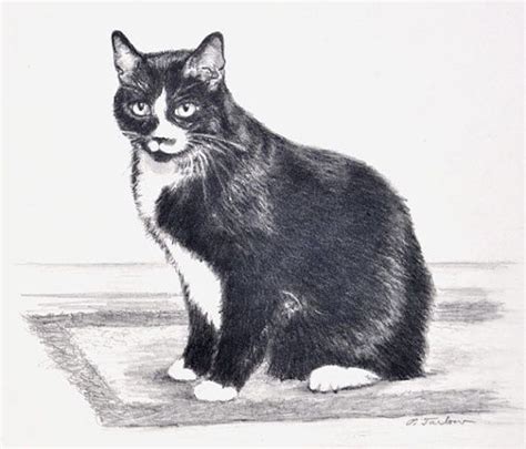 Black & White Cat Art, Black and White Cat Print, Cat Pencil Drawing ...