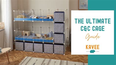 The Best Cages For Guinea Pigs Guinea Pig Cages Kavee USA