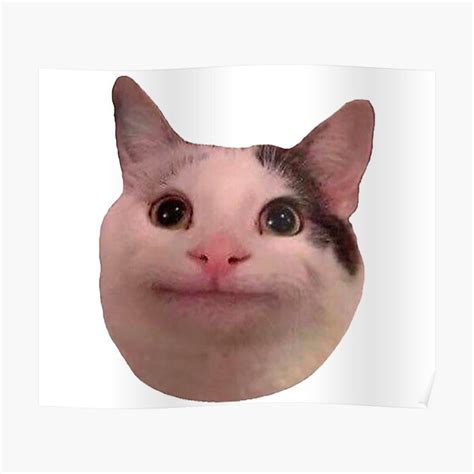 "Serious cat meme" Poster by valwerty | Redbubble