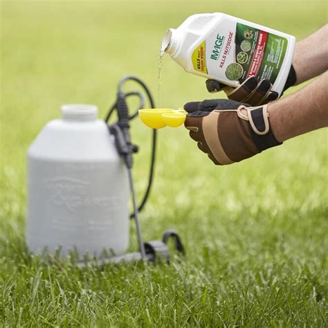 IMAGE 24-oz Concentrated Lawn Weed Killer in the Weed Killers ...