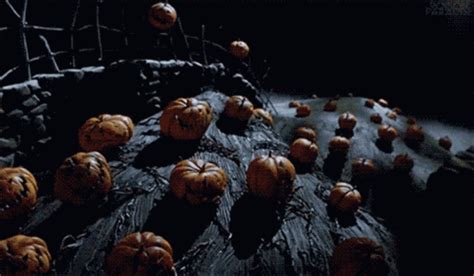 a bunch of pumpkins sitting on top of a black cloth covered table next to a net