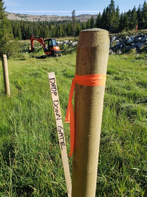 Wildlife-friendly fencing project begins in Bighorn Mountains | Wyoming Game & Fish Department