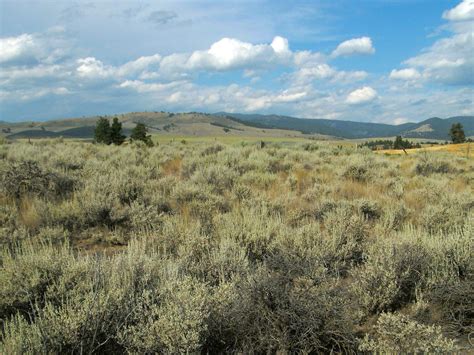 Free picture: landscape, sky, nature, dry, grass, hill, summer, cloud ...