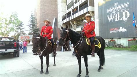 Cowgirl in Cowtown – my first rodeo experience at Calgary Stampede ...