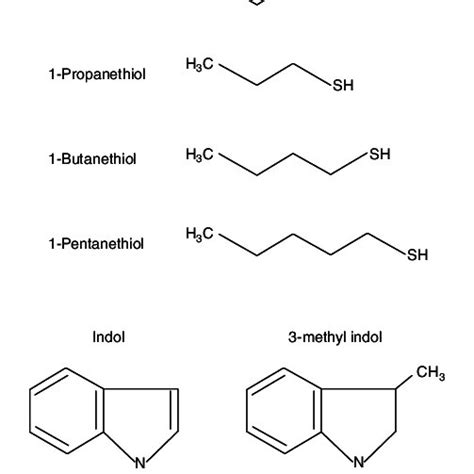 Chemical structure of the thiols and indols used as odour stimuli. | Download Scientific Diagram