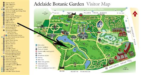 BOTANICAL GARDEN MAP | Adelaide Botanical Garden Map | Botanic garden ...