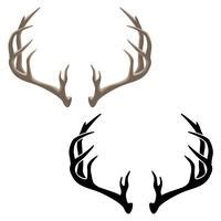 Deer Antler Vector