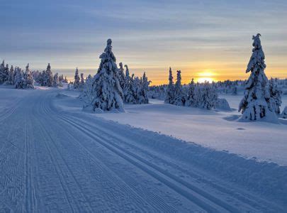 Cross-Country Skiing in Norway | Discover Norway