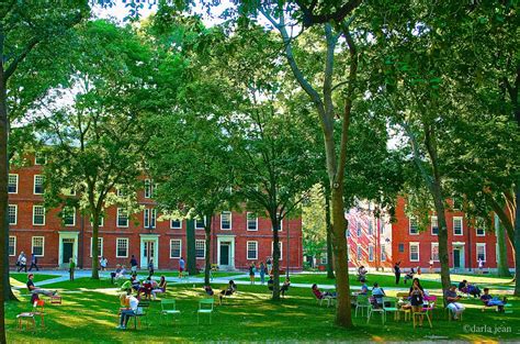 one photo a day one year: harvard yard colorful chairs