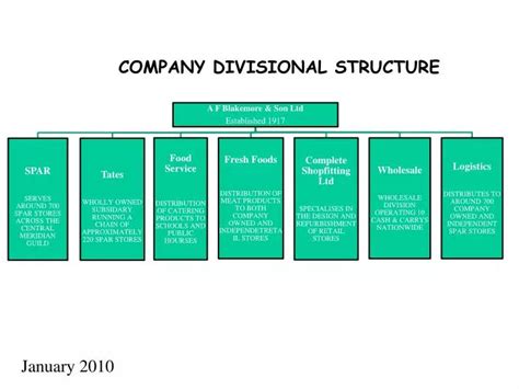 PPT - COMPANY DIVISIONAL STRUCTURE PowerPoint Presentation, free ...