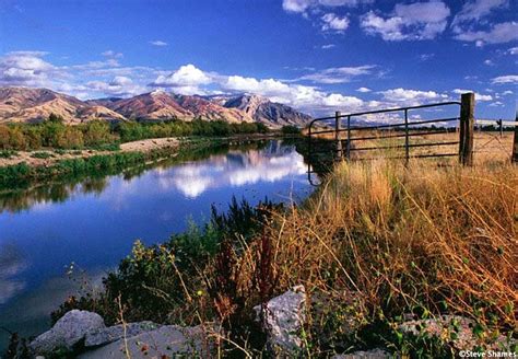 Bear River National Migratory Refuge - Utah