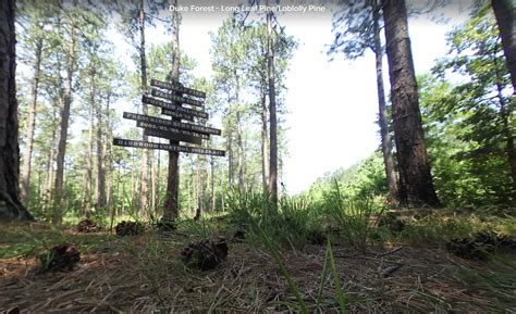 360° Views of the Duke Forest – Duke Forest