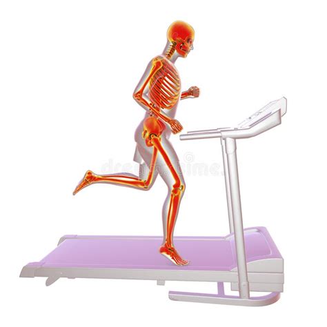 Man Running on Treadmill with Highlighted Skeleton Showing Skeletal Activity during Doing Sport ...