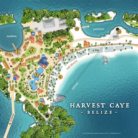 What to do in Harvest Caye, Belize | Belize, Belize travel, Southern belize