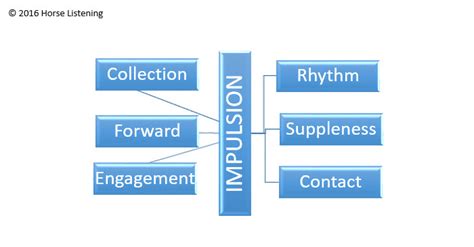 How You Know You Don’t Have Impulsion (Yet) – Horse Listening