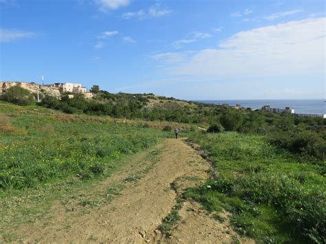 Leave Mellieħa’s Foresta 2000 site pristine! | BirdLife Malta