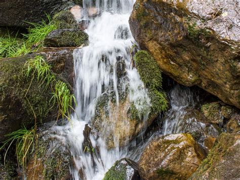 See Spring Trail: Payson, AZ's family-friendly hike to creek & springs | Spring hiking, Trail ...