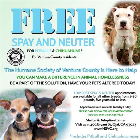 FREE Spay and Neuter Appointments Available! - Humane Society of ...