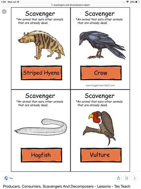 Scavengers and decomposers are considered as "Nature's Helpers" Justify 1:28 wed Jul 18 Q ...