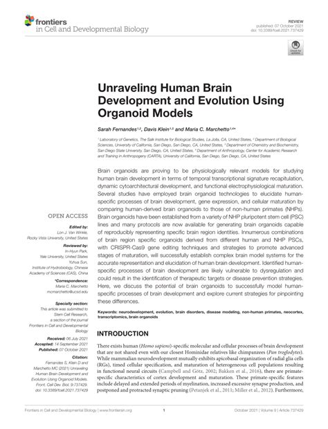 (PDF) Unraveling Human Brain Development and Evolution Using Organoid ...