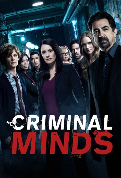 Criminal Minds - Season 15 Future Release, DVD | Sanity